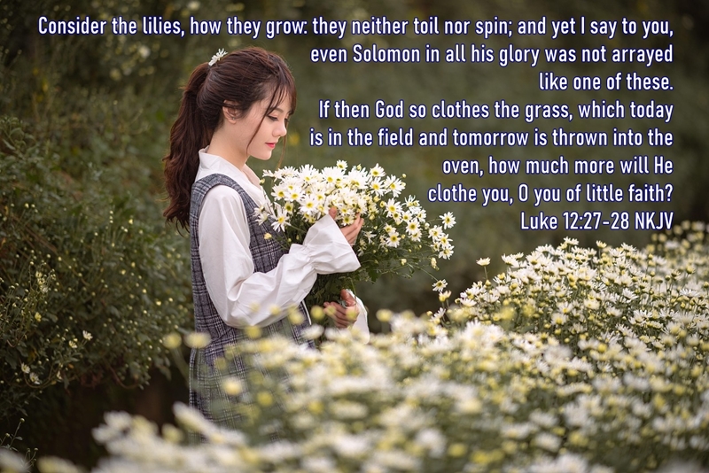 Luke12-Consider the Lillies